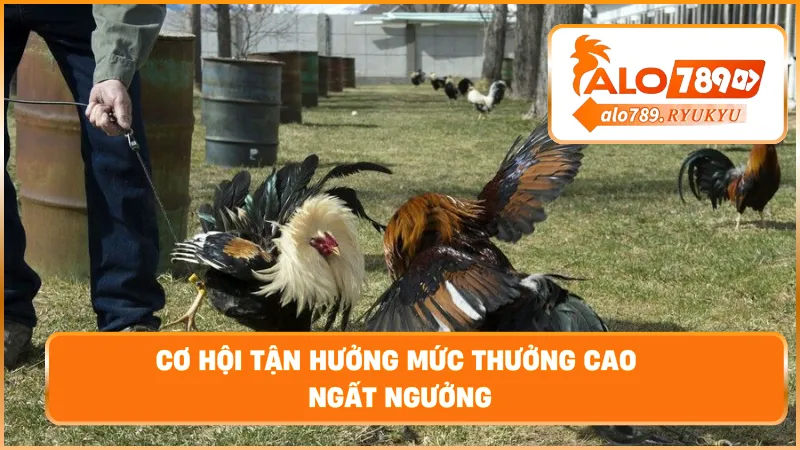 Cơ hội tận hưởng mức thưởng cao ngất ngưởng