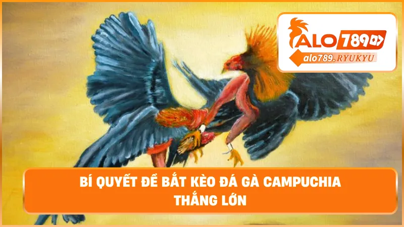 Bí quyết để bắt kèo đá gà Campuchia thắng lớn