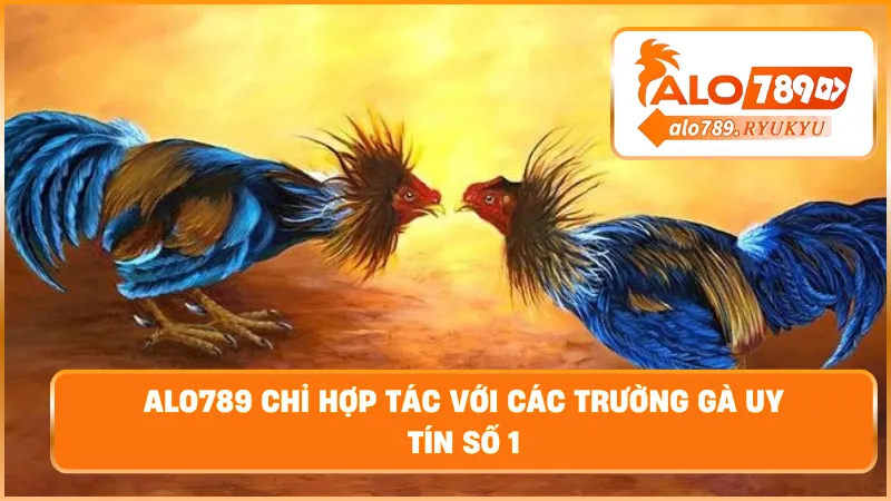 ALO789 chỉ hợp tác với các trường gà uy tín số 1