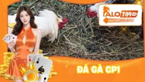 Đá Gà CP1