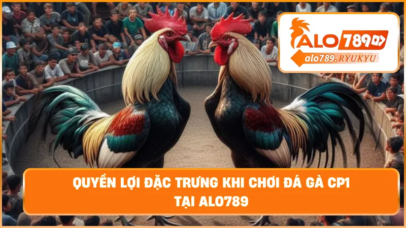 Quyền lợi đặc trưng khi chơi đá gà cp1 tại ALO789