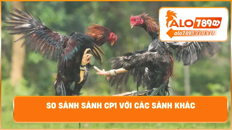 So sánh sảnh CP1 với các sảnh khác