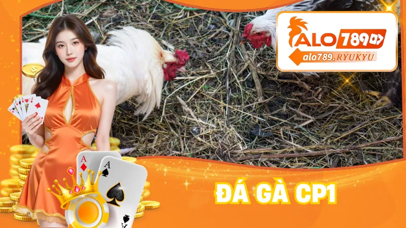 Đá Gà CP1