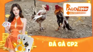 Đá Gà CP2