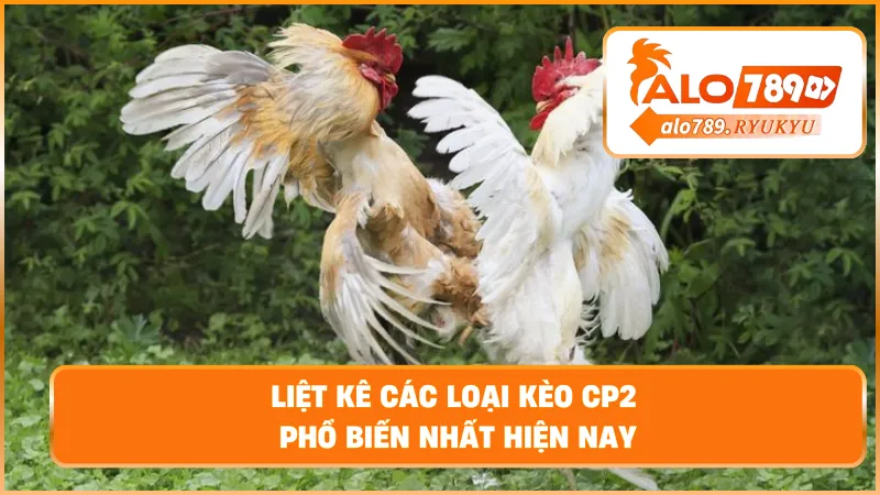 Liệt kê các loại kèo cp2 phổ biến nhất hiện nay