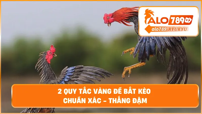 2 Quy tắc vàng để bắt kèo chuẩn xác – Thắng đậm