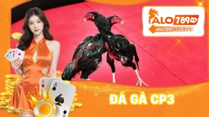 Đá Gà CP3