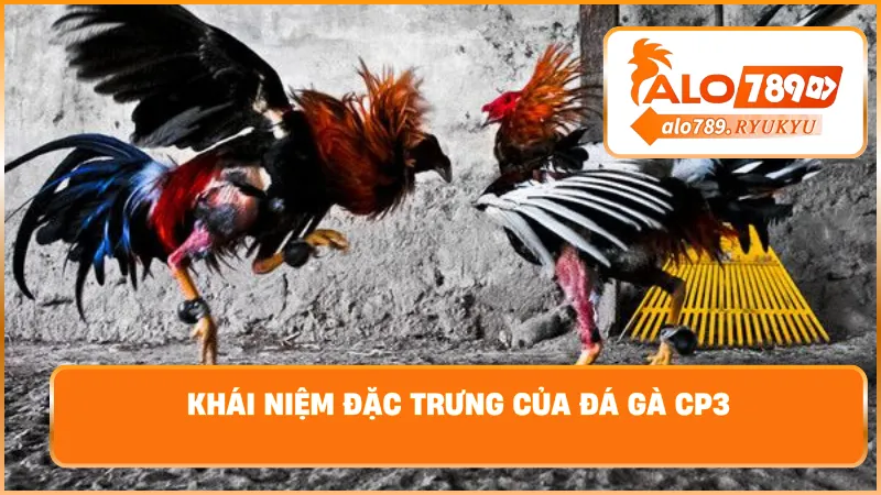 Khái niệm đặc trưng của đá gà cp3