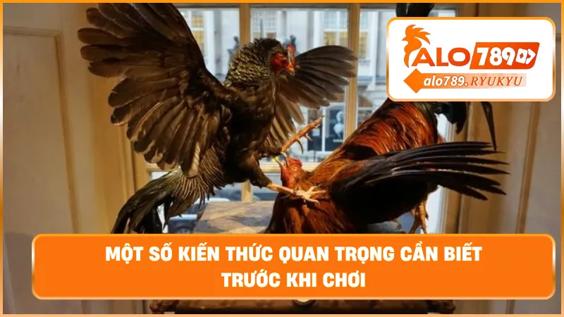 Một số kiến thức quan trọng cần biết trước khi chơi