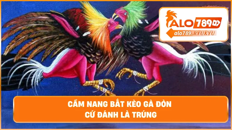 Cẩm nang bắt kèo gà đòn – Cứ đánh là trúng