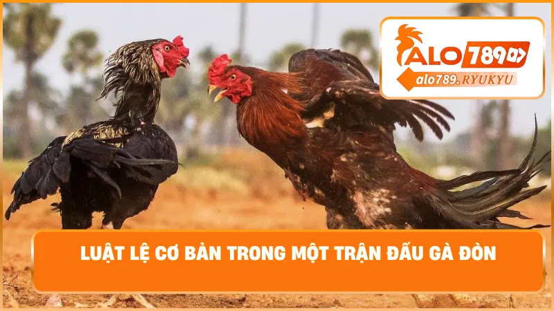 Luật lệ cơ bản trong một trận đấu gà đòn