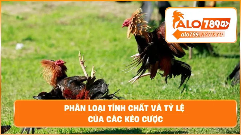 Phân loại tính chất và tỷ lệ của các kèo cược