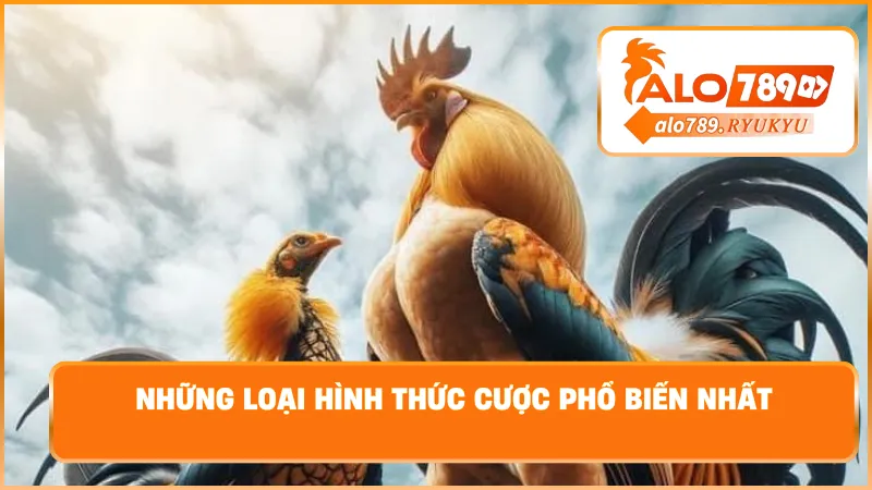 Những loại hình thức cược phổ biến nhất