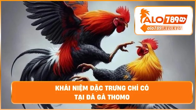 Khái niệm đặc trưng chỉ có tại đá gà thomo