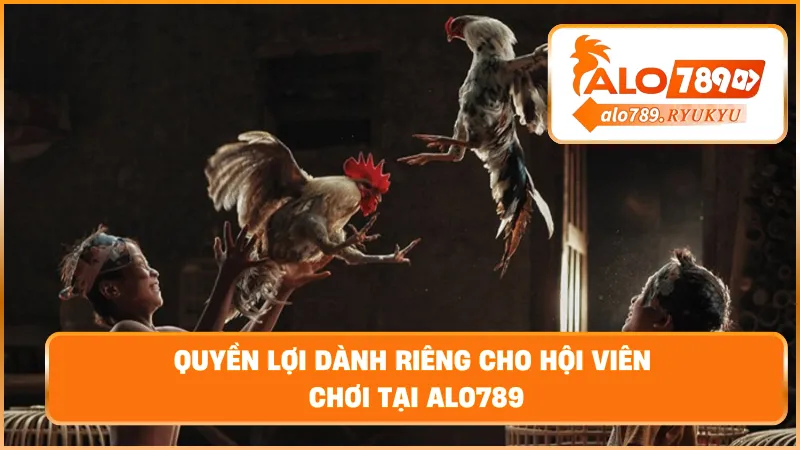 Quyền lợi dành riêng cho hội viên chơi tại ALO789