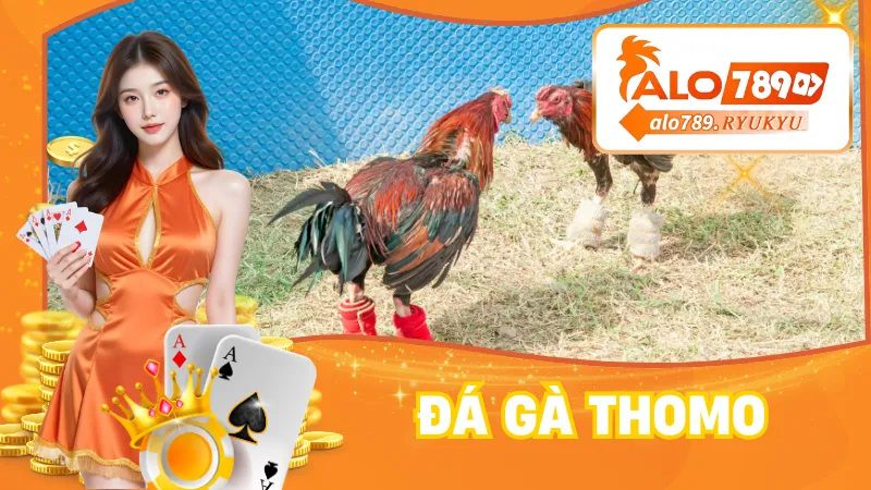 Đá Gà Thomo