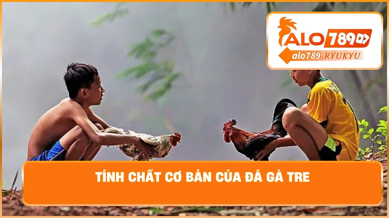 Tính chất cơ bản của đá gà tre