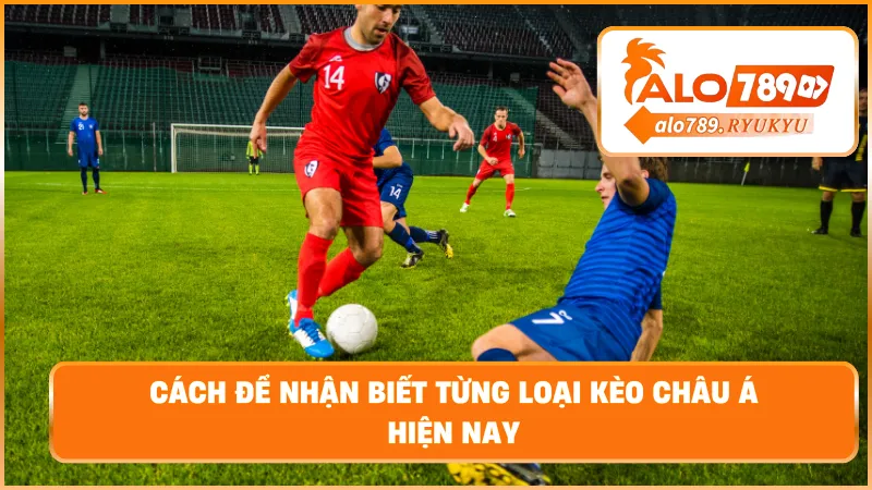 Cách để nhận biết từng loại kèo châu Á hiện nay