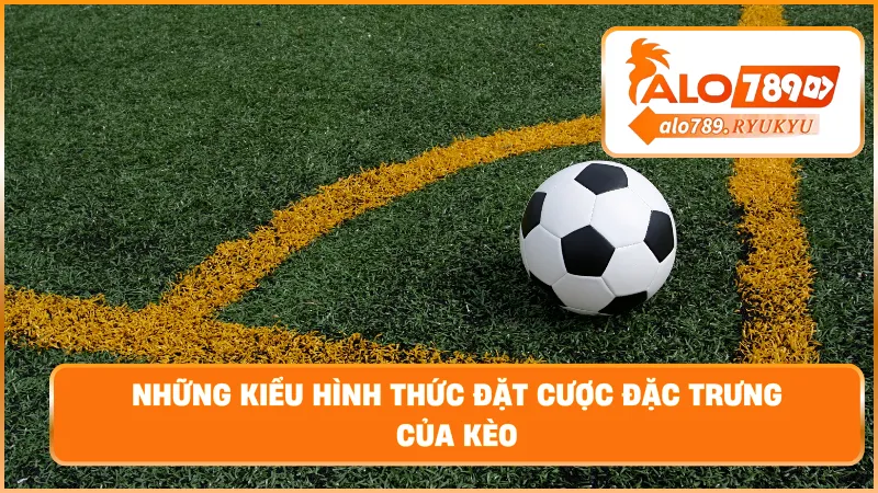 Những kiểu hình thức đặt cược đặc trưng của kèo